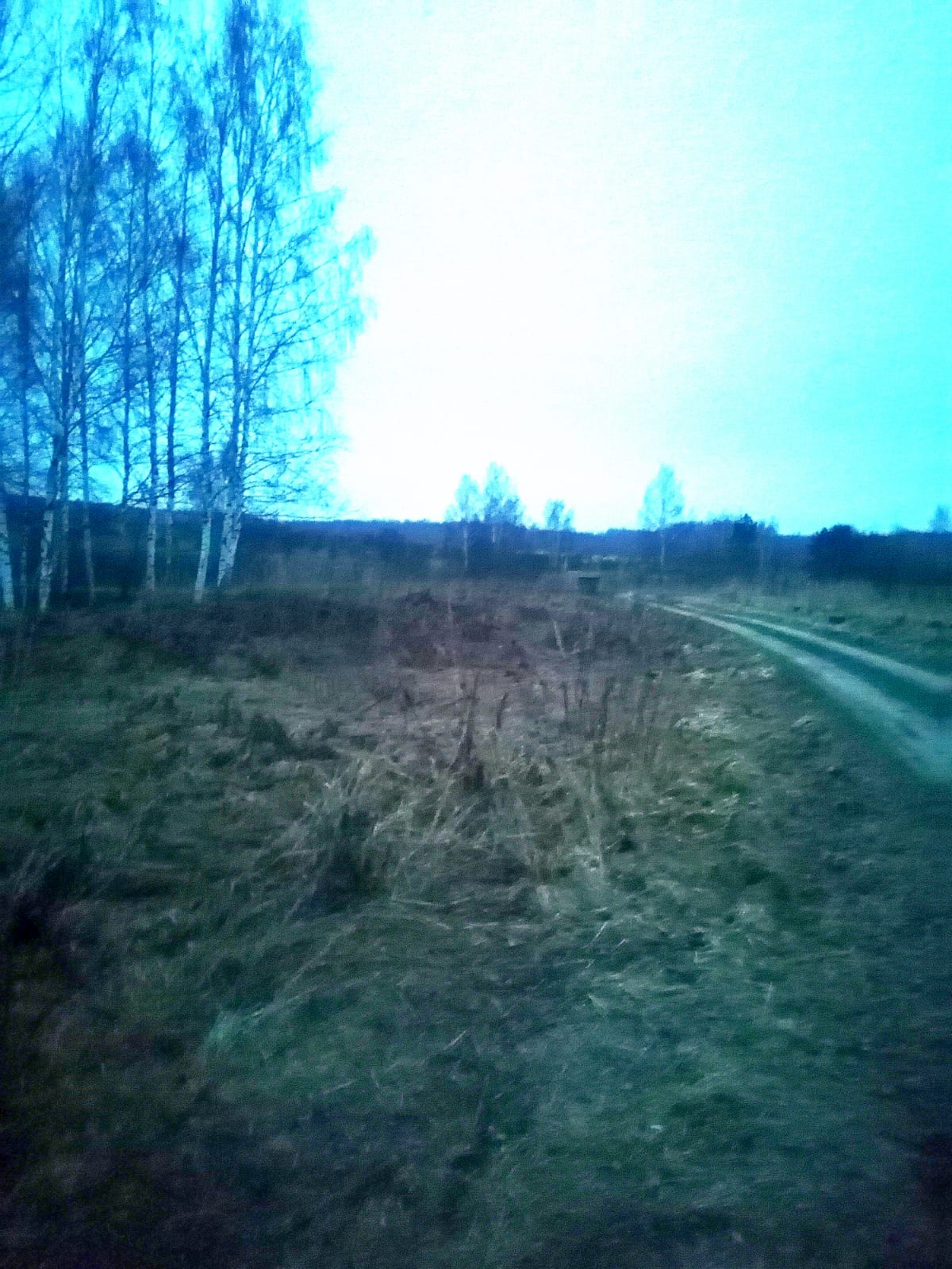 Обустройство зоны для досуга и отдыха по адресу: Суворовский район, деревня Острый Клин