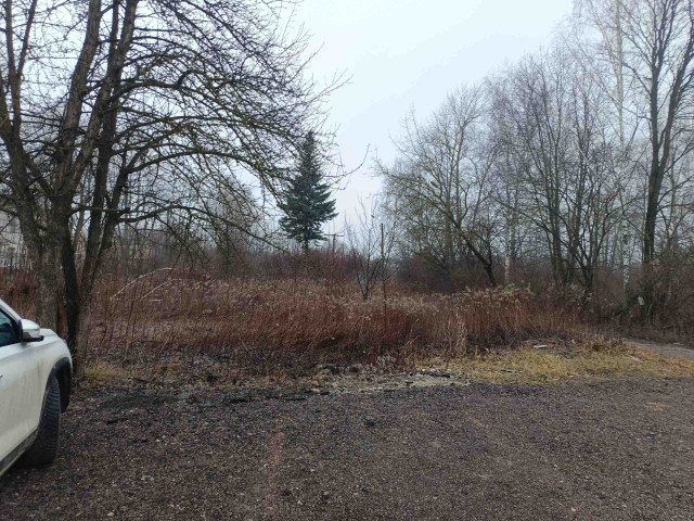 Обустройство скейт-площадки по адресу: г.Тула п.Хомяково между участками 71:30:060704:100 и 71:30:060704:96