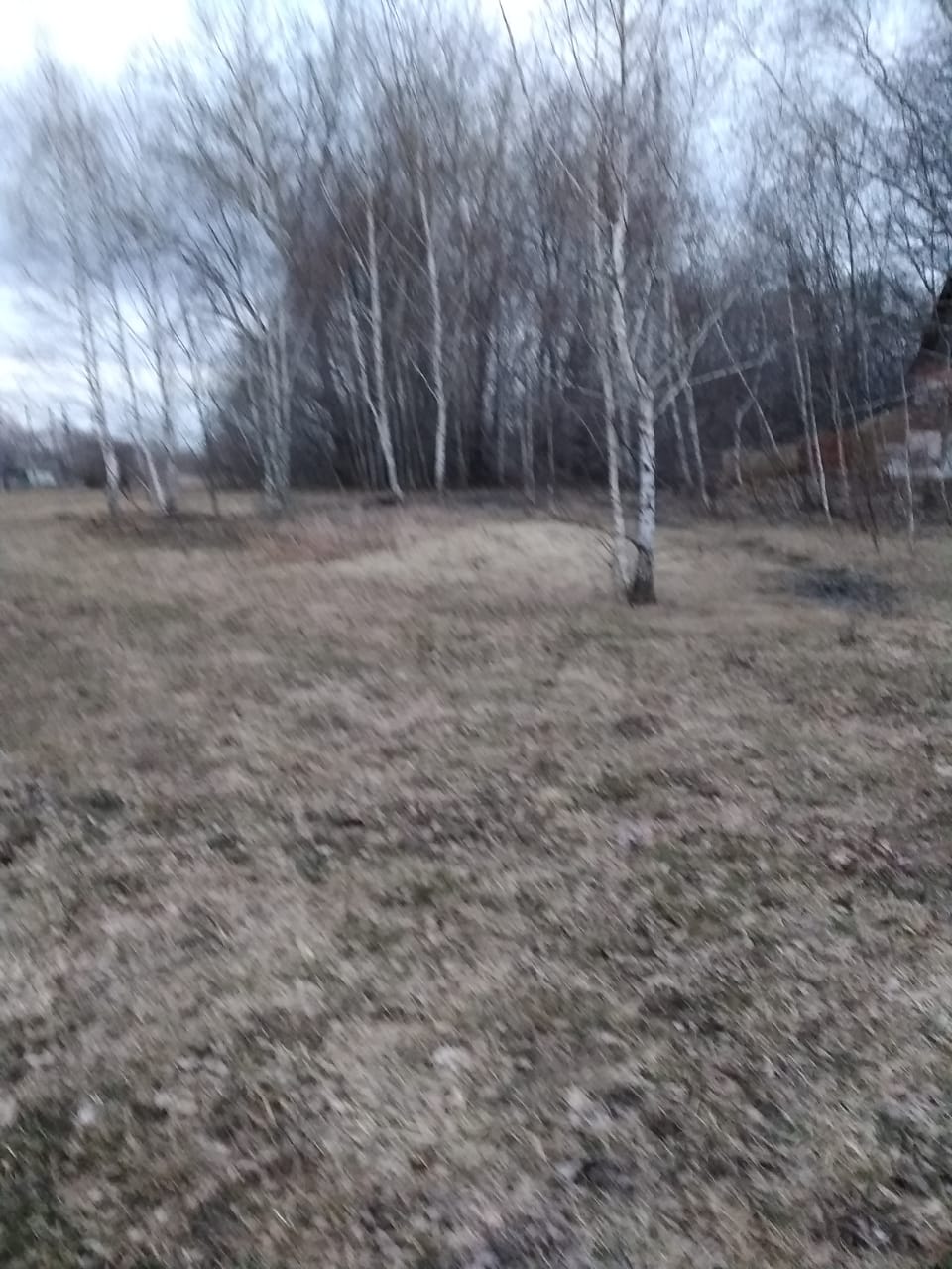 Обустройство спортивной площадки по адресу: Кимовский район, д. Молчаново, ул. Центральная