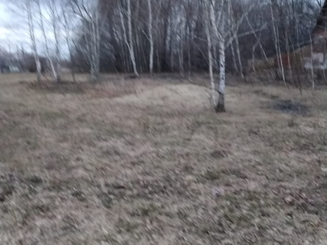 Обустройство спортивной площадки по адресу: Кимовский район, д. Молчаново, ул. Центральная