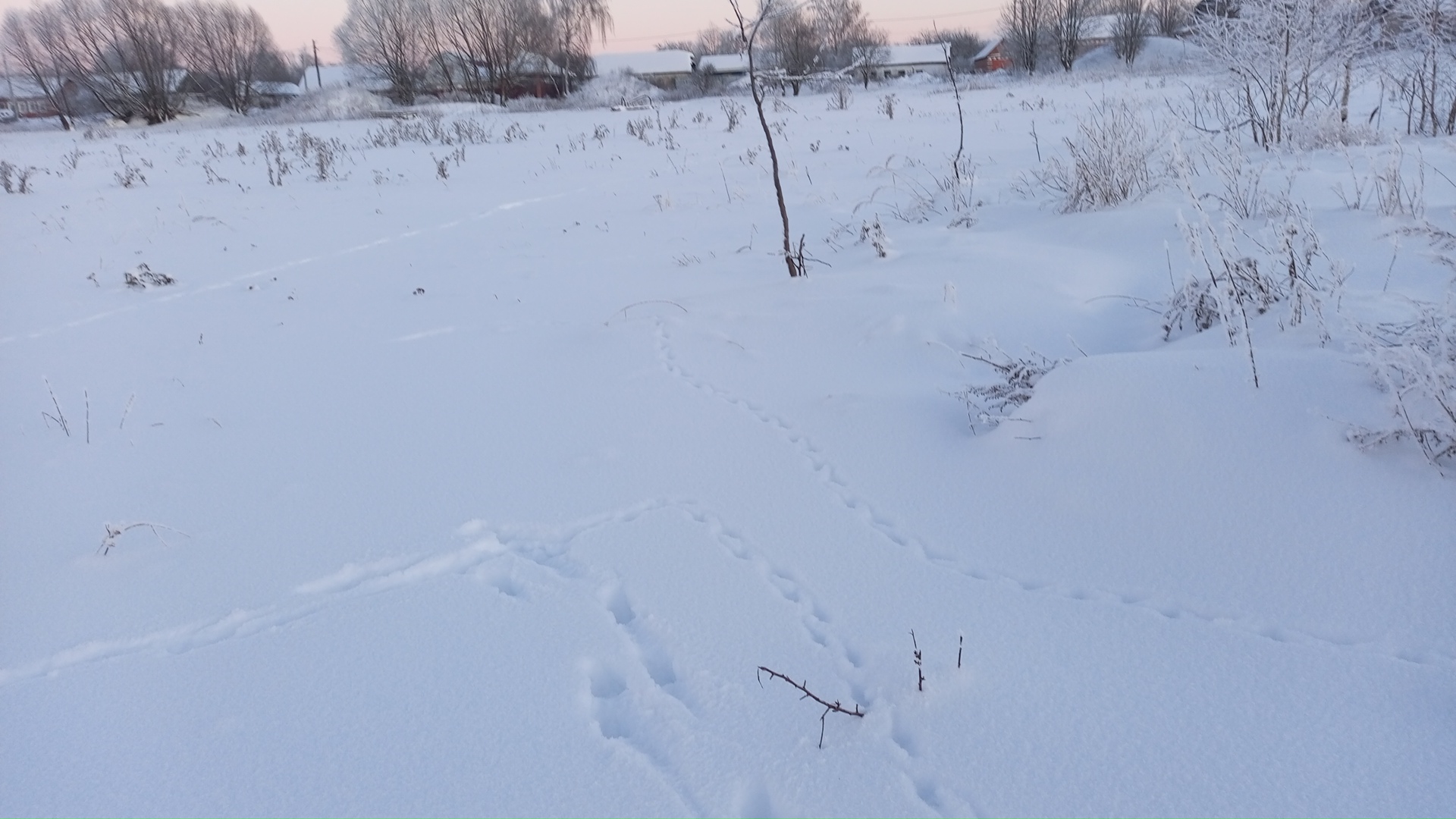 Обустройство многофункциональной площадки по адресу: Киреевский район, деревня Александровка