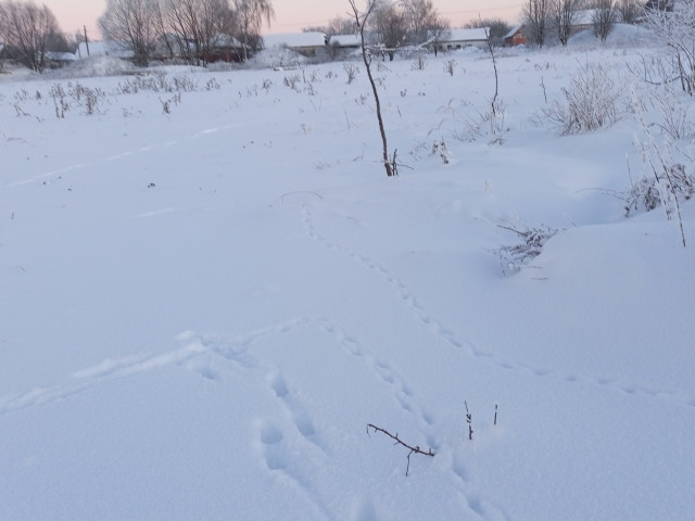 Обустройство многофункциональной площадки по адресу: Киреевский район, деревня Александровка