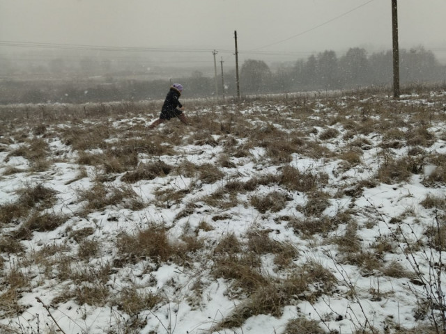 Обустройство спортивной площадки по адресу: Веневский район, д. Даровая, ул. Молодежная, вблизи д. 19