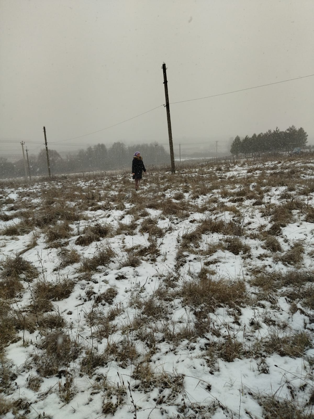 Обустройство спортивной площадки по адресу: Веневский район, д. Даровая, ул. Молодежная, вблизи д. 19