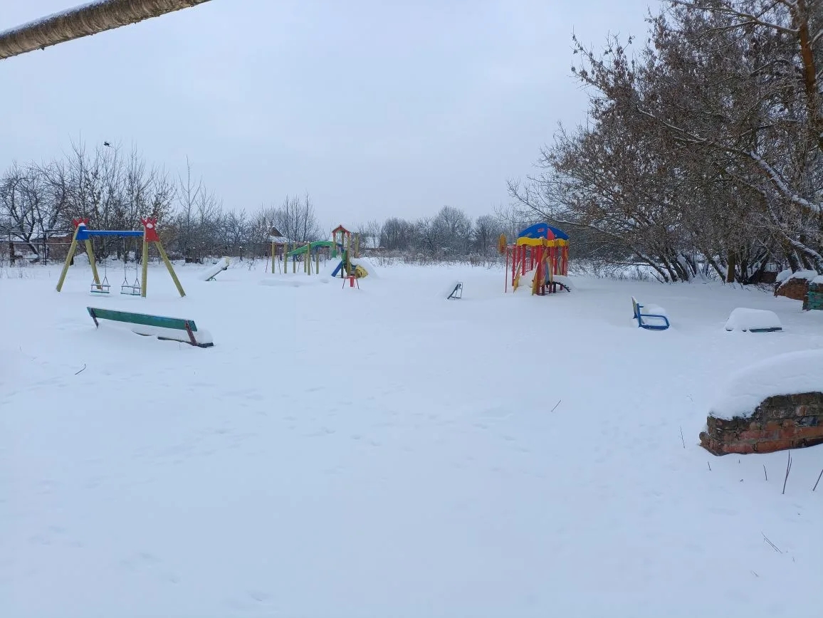 Обустройство детской игровой площадки по адресу: Белевский район, д. Фединское