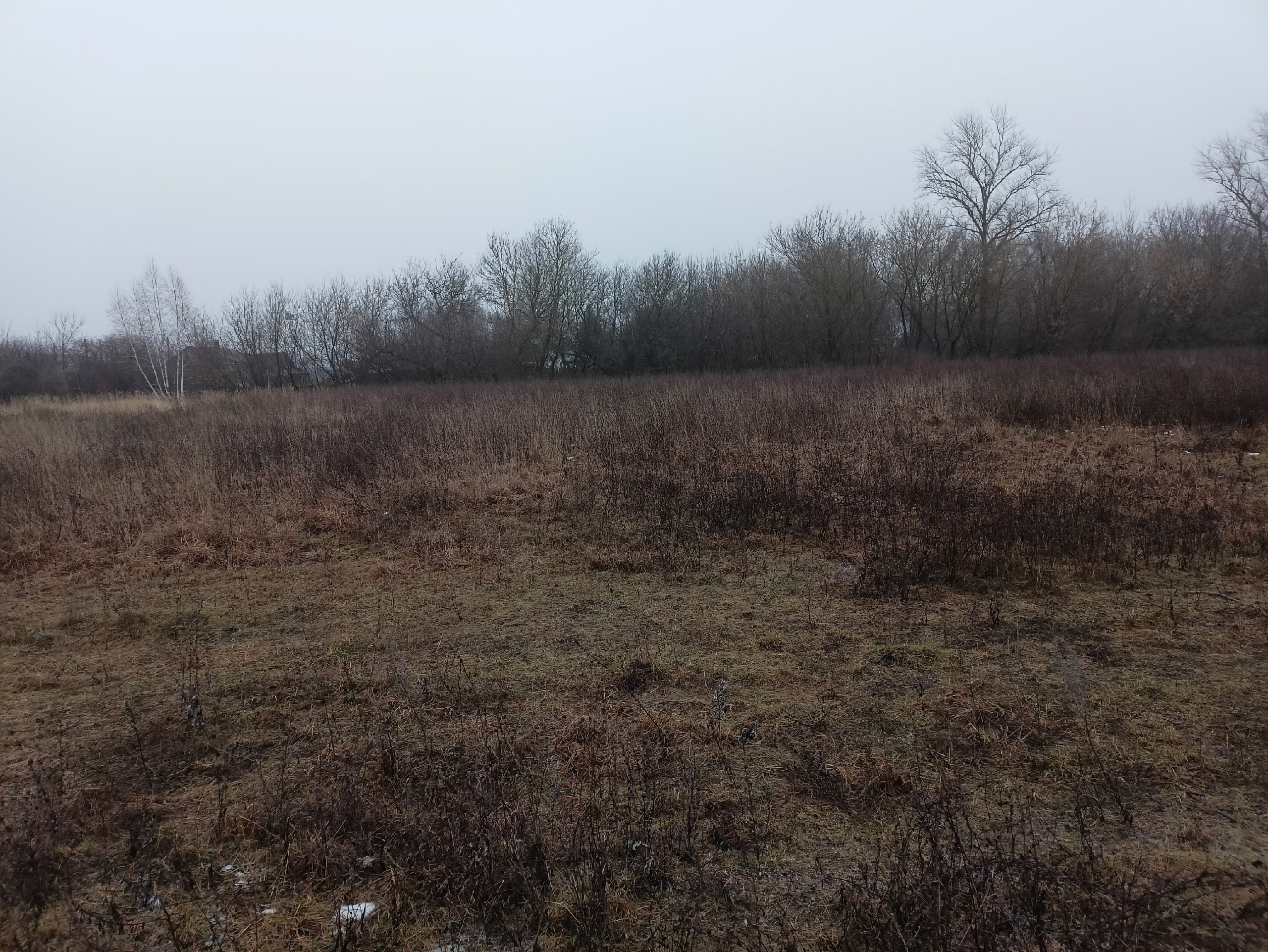 Обустройство спортивной площадки  ( воркаут и тренажеры) по адресу: Богородицкий район, пос.Товарковский, ул.Трудовая, территория за д.84 В