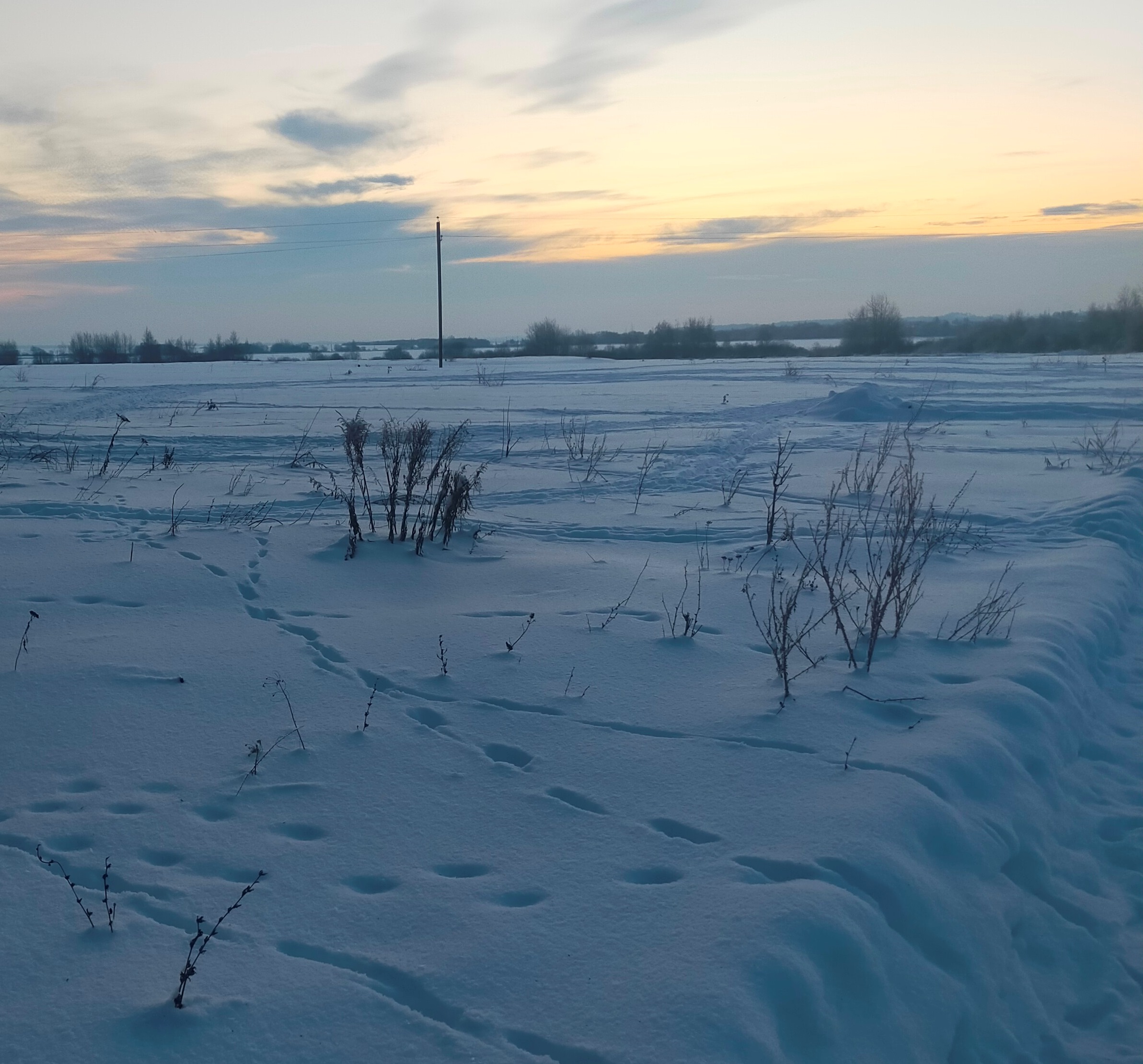 Обустройство спортивной площадки по адресу: Веневский район, п.Бельковский, ул.Школьная, вблизи д.5