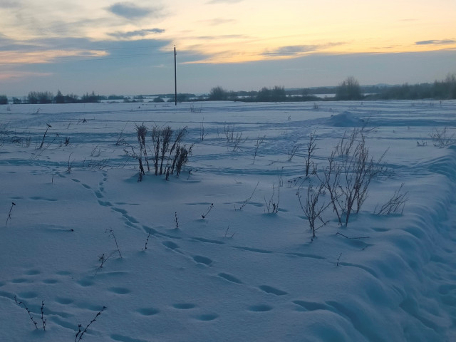 Обустройство спортивной площадки по адресу: Веневский район, п.Бельковский, ул.Школьная, вблизи д.5