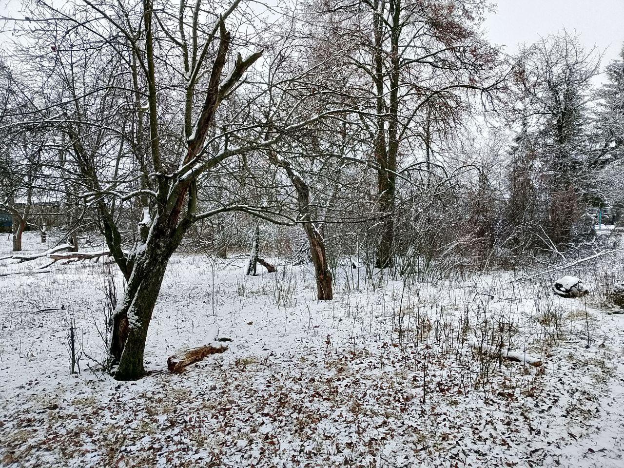Обустройство многофункциональной площадки для игровых видов спорта по адресу: Кимовский район, село Краснополье (ориентир дом 121)
