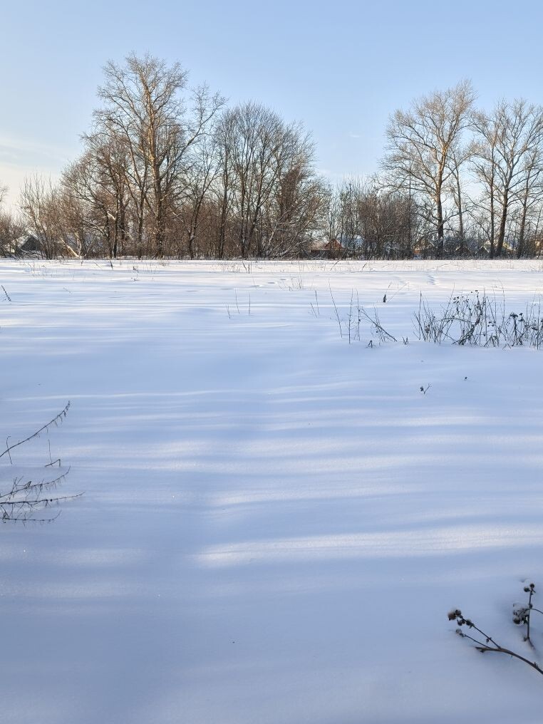 Обустройство спортивной площадки по адресу:   Плавский район, село Сорочинка, ул. Центральная, южнее д. 25