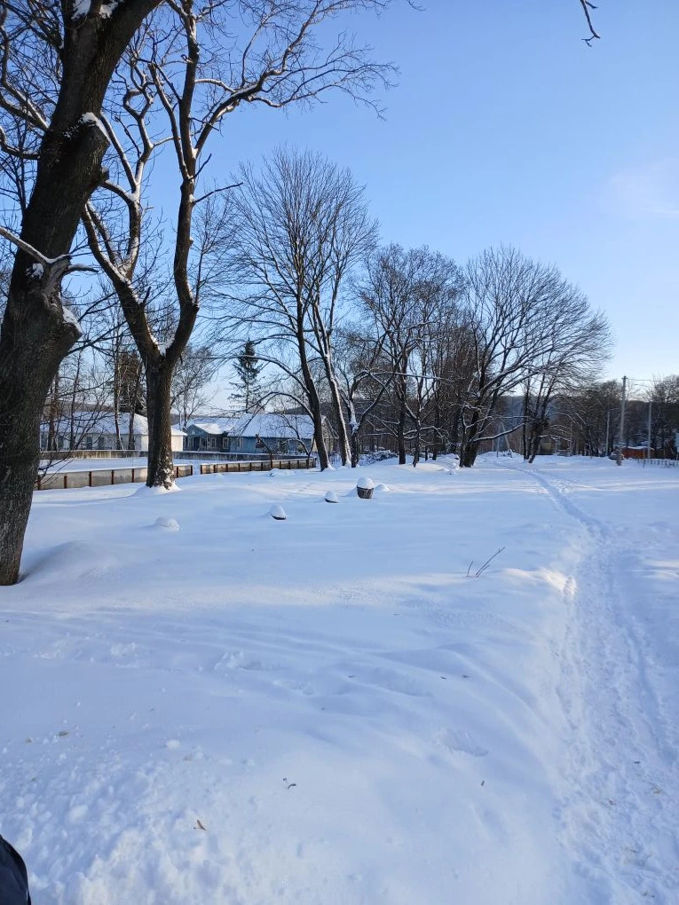 Обустройство многофункциональной площадки для игровых видов спорта №1 по адресу : Ефремовский район, с. Шилово, ул. Центральная, д.19 (рядом с МКОУ "Шиловская школа №16")