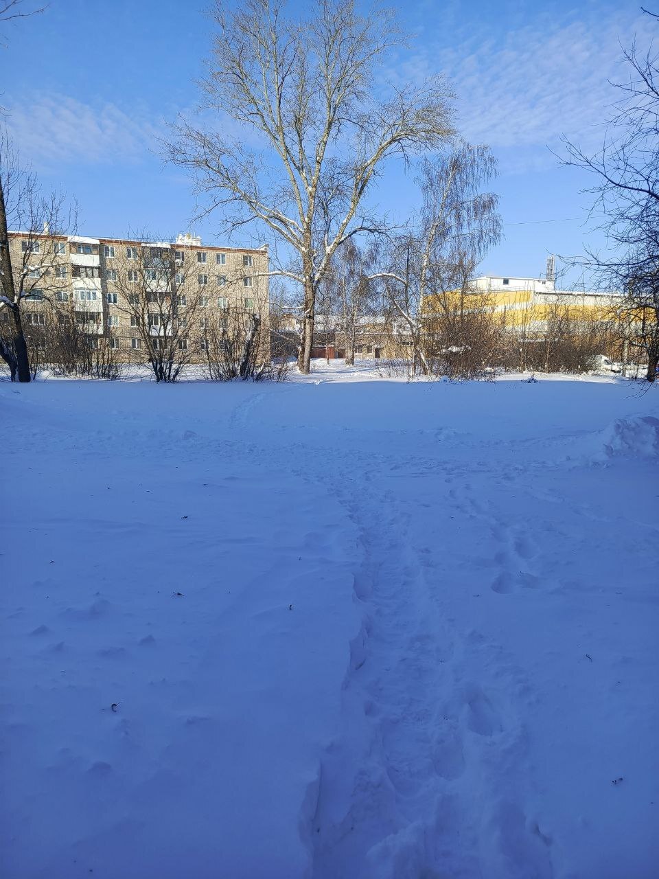 Обустройство спортивной площадки по адресу: г.Новомосковск, улица Мира, в районе домов 9 и 9а