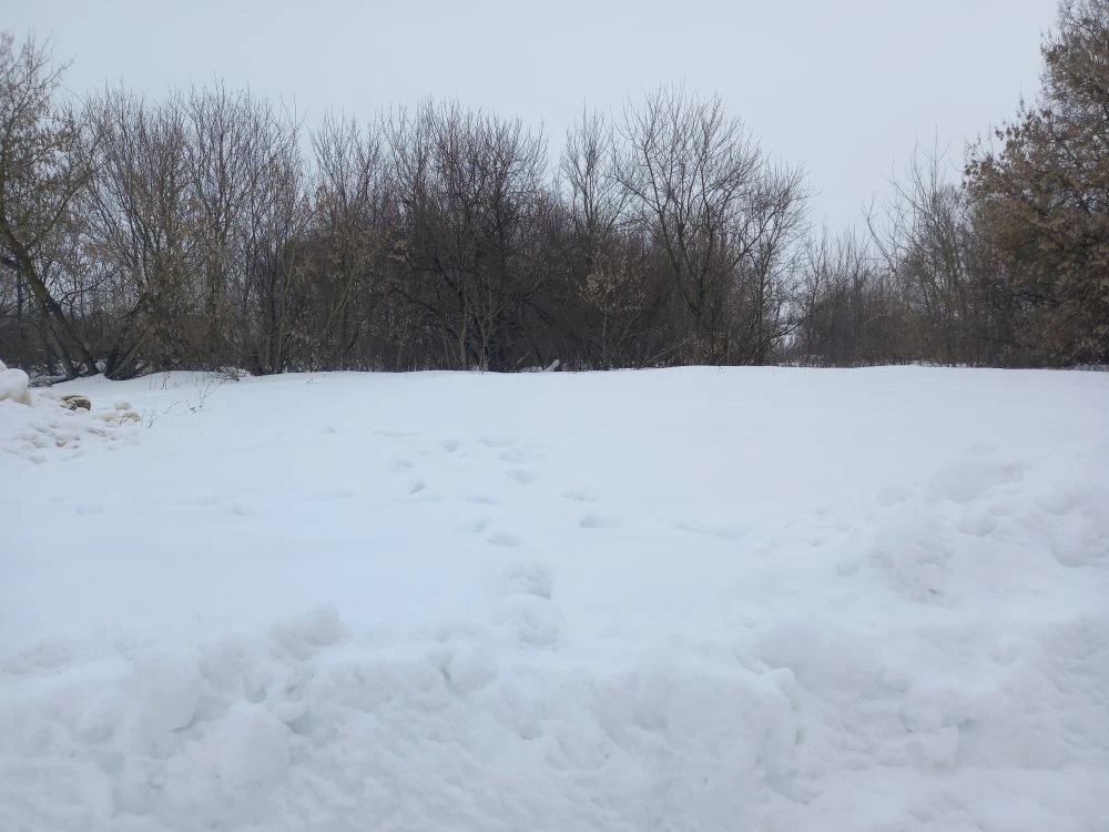 Обустройство спортивной площадки по адресу: Новомосковский район, деревня Богдановка, ул. Центральная, д.20