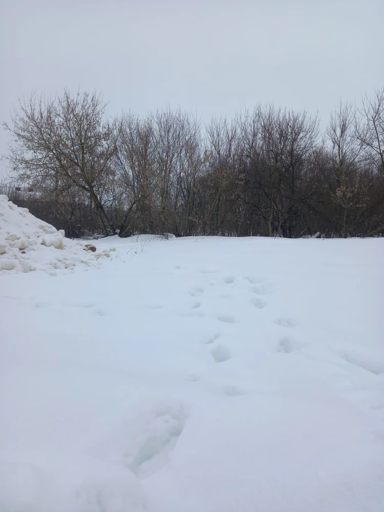 Обустройство спортивной площадки по адресу: Новомосковский район, деревня Богдановка, ул. Центральная, д.20