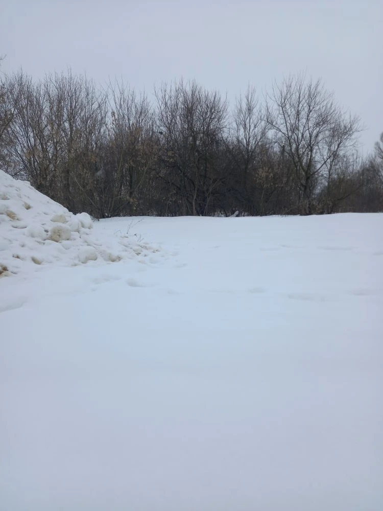 Обустройство спортивной площадки по адресу: Новомосковский район, деревня Богдановка, ул. Центральная, д.20