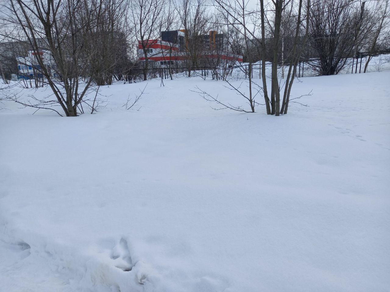 Обустройство спортивной площадки по адресу: город Новомосковск, Трудовой проезд, д. 9Г